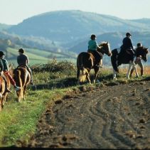 randonnee-poneys©herve-negre-900.jpg