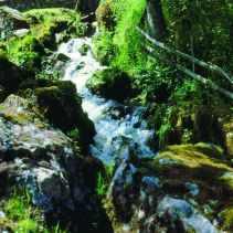 cascade-du-grand-moulin-900.jpg